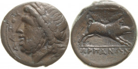 Apulien Arpi
 Diobol 4./3. Jhd. v. Chr Kopf des Zeus mit Lorbeerkranz nach links / Eber läuft nach rechts, darüber Pfeil BMC 4 SNG Cop. 604 8.15 g. S...