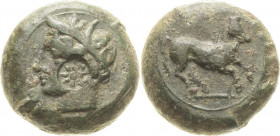 Zeugitana Karthago
 Bronze 3. Jhd. v. Chr Kopf der Tanit mit Kornährenkranz links / Pferd ohne Zaumzeug nach rechts springend. Mit Av-Gegenstempel (8...