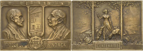 Frankreich-Mulhouse
 Bronzeplakette 1911 (A. Seysses) 100-Jahrfeier der Firma Dollfus & Noack in Mulhouse. Brustbilder von Dollfus und Noack einander...