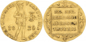 Niederlande-Königreich
Wilhelm I. 1815-1840 Dukat 1829, Utrecht Schlumberger 108 Friedberg 331 Delmonte 1188 GOLD. 3.35 g. Rand min. beschnitten, seh...