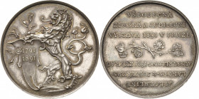 Kaiserreich Österreich
Franz Joseph I. 1848-1916 Silbermedaille 1891 (Braun) Für Mitarbeiter der Prager Landes- und Jubiläumsausstellung. Böhmischer ...