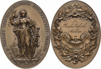 Medaillen
Innsbruck Bronzemedaille 1904 (Gravur) Preismedaille des Verbands Österreichischer Geflügelzüchter. Innsbruck 1904. Weiblicher Genius steht...