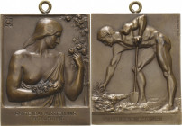 Darmstadt
 Bronzeplakette 1905 (D. Greiner) Preismedaille der Gartenbauausstellung in Darmstadt. Halbfigur einer Frau mit entblößter Brust neben Rose...