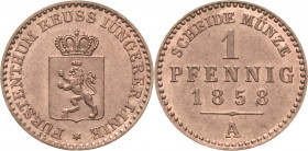Reuss-Jüngere Linie - Schleiz
Heinrich LXVII. 1854-1867 Pfennig 1858, A-Berlin AKS 40 Jaeger 129 Schmidt und Knab 568 Prachtvolles Exemplar. Prägefri...