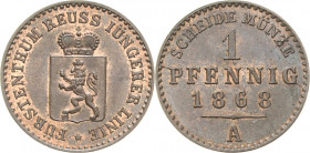 Reuss-Jüngere Linie - Schleiz
Heinrich XIV. 1867-1913 Pfennig 1868, A-Berlin AKS 43 Jaeger 134 Schmidt und Knab 571 Prachtexemplar. Prägefrisch