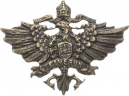 Kamerun
 Bronzeabzeichen o.J. Kamerunadler. Bronze. 30 x 40 mm. Mit Nadel Vorzüglich