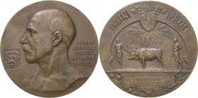 Togo
 Bronzemedaille 1907 (A. M. Wolff) Ehren-Preismedaille zur Landwirtschaftsausstellung in Palime. Brustbild Johann Albrechts, Herzogs zu Mecklenb...