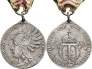 Medaillen und Abzeichen
 Südwestafrika-Denkmünze für Nichtkämpfer 1907. Stahl. 37,2 mm, 18,2 g (mit Band). Am Band OEK 3166 Fast vorzüglich