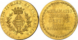 1833. Isabel II. Girona. Medalla de Proclamación. (Ha. 11 var metal) (Boada 55b, como inédita) (Ruiz Trapero 584 var metal) (V. 743 var metal) (V.Q. 1...