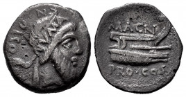 Pompeius Magnus. Cn. Calpurnius Piso. Denarius. 49 BC. Hispania. (Ffc-6). (Craw-446/1). (Cal-373). Anv.: CN. PISO. PRO. Q. behind head of Numa Pumpili...