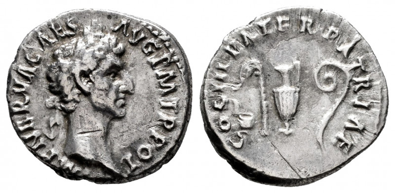 Nerva. Denarius. 97 AD. Rome. (Ric-II 24). (Bmcre-33). (Rsc-48). Anv.: IMP NERVA...