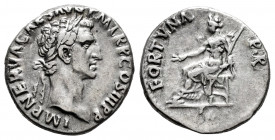 Nerva. Denarius. 96-98 AD. Rome. (Ric-17). (Bmcre-41). (Rsc-79). Anv.: IMP NERVA CAES AVG P M TR P COS III P P, laureate head right. Rev.: FORTVNA P R...