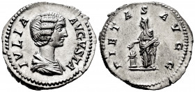 Julia Domna. Denarius. 196-211 AD. Rome. (Ric-572 Severus). (Bmcre-65). (Rsc-150). Anv.: IVLIA AVGVSTA, draped bust right. Rev.: PIETAS AVGG, Pietas s...