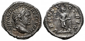 Caracalla. Denarius. 213-217 AD. Rome. (Ric-IV 311b). (Bmcre-82). (Rsc-606). Anv.: ANTONINVS PIVS AVG GERM, laureate head to right. Rev.: VENVS VICTRI...
