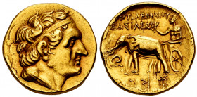 Ptolemaic Kings of Egypt. Ptolemy I Soter. Stater. 305-285 BC. Kyrene. (Sng Ans-426 var). (Svoronos-Pt.101). Anv.: Diademed head right, wearing aegis ...