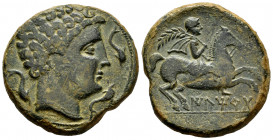 Iltirta. Unit. 200-20 BC. Lleida (Cataluña). (Abh-1461). (Acip-1236). (C-7). Anv.: Male head right flanked by three dolphins. Rev.: Horseman with palm...