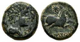 Iltirta. Quadrans. 200-20 BC. Lleida (Cataluña). (Abh-1468). Anv.: Male head right, three dolphins around. Rev.: Horse right, star above, iberian lege...