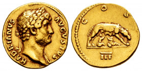 Hadrian. Aureus. 125-128 AD. Rome. (Ric-193d). (Cal-1233). Anv.: HADRIANVS AVGVSTVS. Laureate head of Hadrian right. Rev.: COS III. She-wolf left, suc...