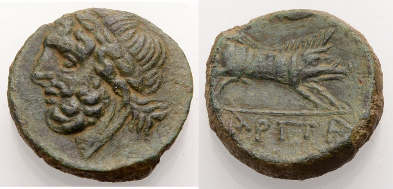 Apulien. 
Arpi. 
Bronze, 3. Jh. Bärtiger Zeuskopf mit L. n.l. Rv. ARPA Eber n....