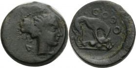 Sizilien. 
Segesta. 
Trias, 420-410 v. Chr. Kopf der Nymphe Aigeste n. r. mit hochgebundenen Haaren, im Felde l. Efeublatt. Rv. Jagdhund n. r., eine...