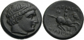 Makedonien. 
Könige von Makedonien. 
Philippos III. Arrhidaios, 323-317 v. Chr. Bronze. 323-319 v. Chr. Miletos. Jugendl. Kopf mit Diadem n. r. Rv. ...