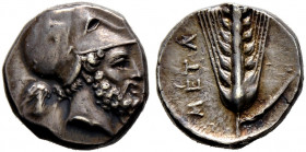 Lukania. Metapont. 
Didrachme (Nomos/Stater) ca. 340-330 v. Chr. Kopf des bärtigen Leukippos mit korinthischem Helm nach rechts, dahinter Beizeichen ...