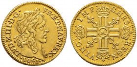 Frankreich-Königreich. Louis XIII. 1610-1643. 
1/2 Louis d'or 1641 -Paris-. Gad. 57, Ciani 1615, Dupl. 1299, Fr. 411. 3,39 g selten, leichte Feilspur...