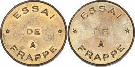 Essai de frappe - 10 francs Mathieu 

Cupro-nickel-alu - 10,00 grs - 26 mm
GEM.186.3
SUP
R

Type rare.
