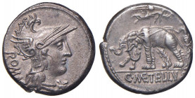 Caecilia - C. Metellus - Denario (125 a.C.) Testa di Roma a d. - R/ Giove su biga di elefanti a s. - B. 14; Cr. 269/1 AG (g 3,84)

 

SPL
