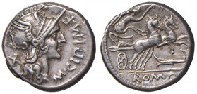 Cipia - M. Cipius M. f. - Denario (115-114 a.C.) Testa di Roma a d. - R/ La Vittoria su biga a d. - B. 1; Cr. 289/1 AG (g 3,88) 

 

qSPL