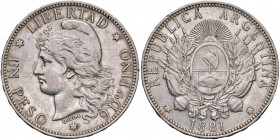ARGENTINA Repubblica - Peso 1881 - KM 29 AG (g 25,01) R Colpi al bordo

 

BB