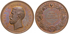 ROMANIA Carol I (1866-1914) Medaglia 1881 concorso dell’agricoltura e dell’industria - Opus: W. Kullrich - AE dorato (g 105,52 - Ø 59 mm) Conservazion...