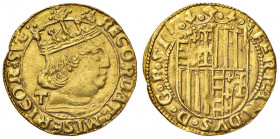 NAPOLI Ferdinando I d’Aragona (1458-1494) Ducato sigla T - MIR 64/8 AU (g 3,47) R Minimi segnetti al bordo

 

SPL