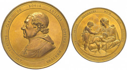 Medaglia 1861 Cardinale Antonio Tosti (1776-1866) Madonna Taddei - Opus: Speranza - AE dorato (g 274,05 - Ø 82 mm) RRR Una rarissima e imponente medag...