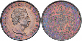 Carlo Felice (1821-1831) 5 Lire 1829 G - Nomisma 570 AG Segnetti al bordo

 

SPL+/qFDC