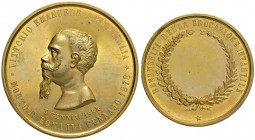Umberto I (1878-1900) Medaglia premio 1884 Benemeriti della educazione infantile - Opus: Cagiada - AE dorato (g 63,90 - Ø 60 mm) RRRRR VI anniversario...