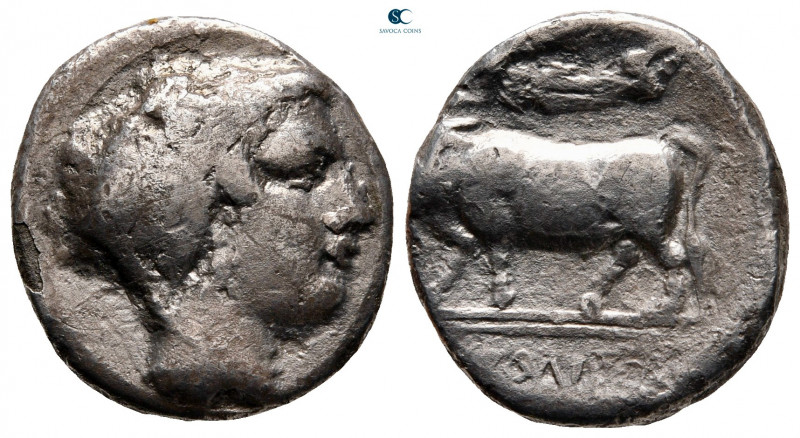 Campania. Neapolis circa 300-275 BC. 
Didrachm AR

20 mm, 6,49 g



nearl...