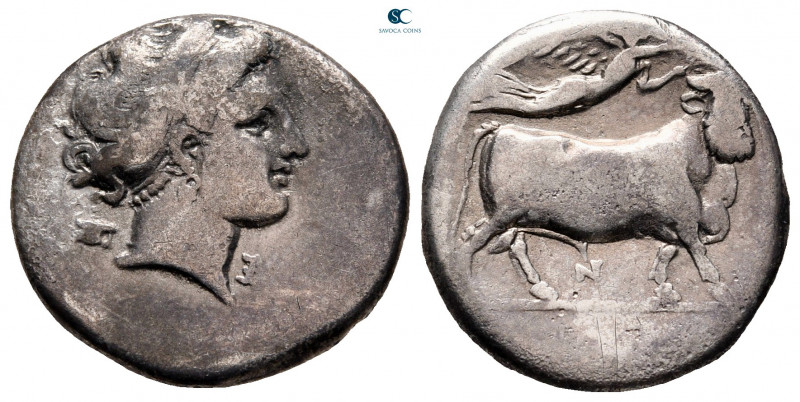 Campania. Neapolis circa 300-275 BC. 
Didrachm AR

20 mm, 6,75 g



very ...