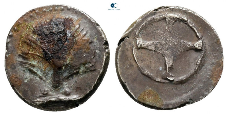 Calabria. Tarentum circa 480-470 BC. 
1/6 Litra AR

11 mm, 1,03 g



very...