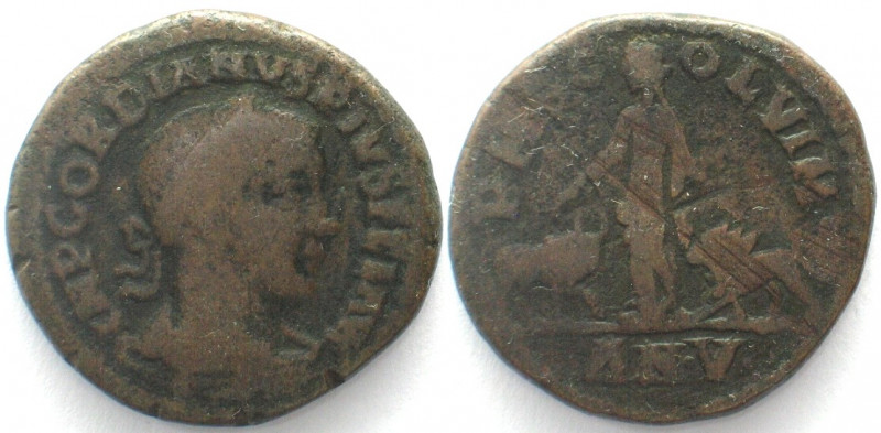 MOESIA SUPERIOR. Viminacium. AE Sestertius 244 AD (AN V), Gordian III, Moesia st...