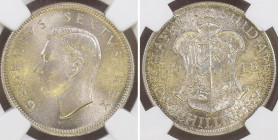 SOUTH AFRICA. 2 Shillings 1948, George VI, silver, scarce! NGC MS 64!