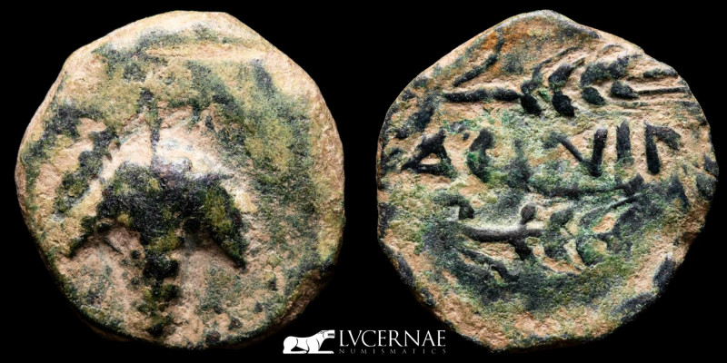Ancient Hispania - Acinipo (Ronda, Málaga), bronze As (8.18 g., 23 mm.). 100-50 ...