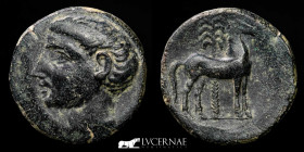 Ancient Spain Carthaginians Bronze Calco 11.40 g., 24 mm. Cartagonova 220 B.C. Good very fine (MBC)