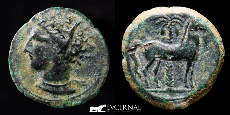 Ancient Hispania - Carthaginian occupation (218-208 B.C.), bronze half calco (2,...