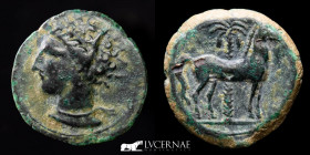 Carthaginians in Hispania  Bronze 1/2 Calco 2,76 g. 17 mm.  Cartago Nova 220-205 B.C Good very fine (MBC+)