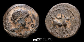 Castulo (Hispania) Æ Bronze Æ Semis 5.15 g, 20 mm. Linares Jaén 180-150 B.C. Good very fine (MBC)