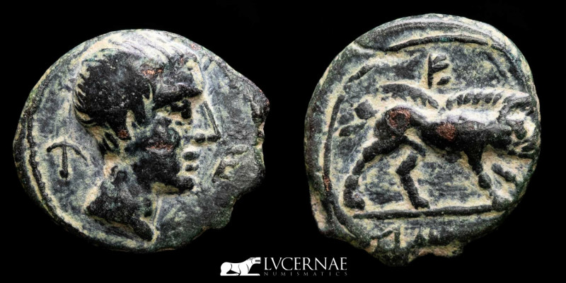 Ancient Hispania - Castulo, Linares, Jaén (180-150 B.C.) Bronze quadrans (3.20 g...