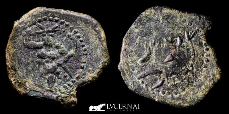 Ancient Hispania - Ebusus (Ibiza) Bronze semis (6,18 g, 23 mm.) minted 20 a.C.

...