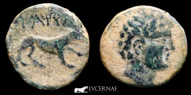 Ancient Hispain - Iltirta Æ Bronze Æ As 6.61 g. 23 mm. Lleida, Cataluña 200-20 BC. Good very fine (MBC)
