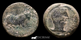 Ipora Bronze Dupondius 35,00 g., 34 mm. Ipora (Montoro) 50 B.C.  VF